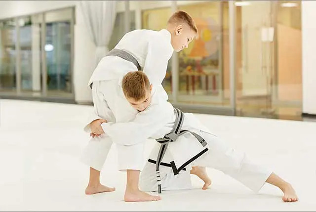 Kids Brazilian Jiu-Jitsu Classes Near Me in Mount Prospect