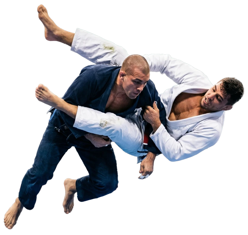 Ready to Find Out What Brazilian Jiu Jitsu Classes in Mount Prospect Can Do For You?
