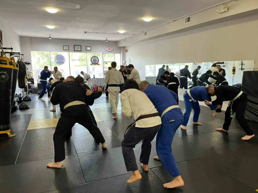 Adult practitioners engaging in standup grip fighting during a sparring session adult Brazilian Jiu Jitsu guard passing principles